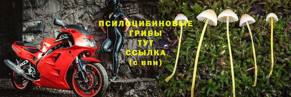 бутират Елизово
