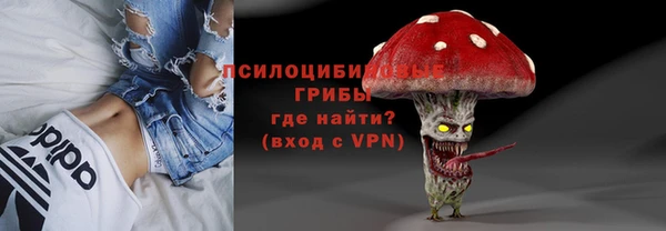 ешки Елабуга