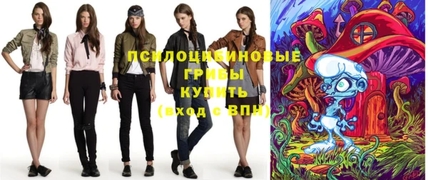 ешки Елабуга