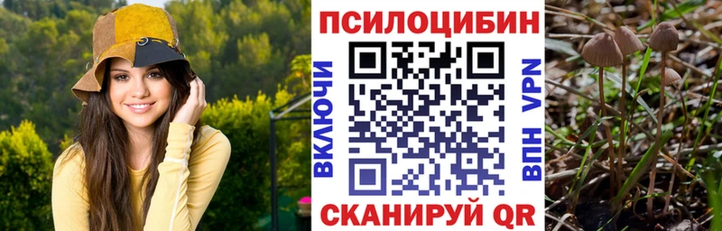 Псилоцибиновые грибы ЛСД  блэк спрут ONION  Ивангород 