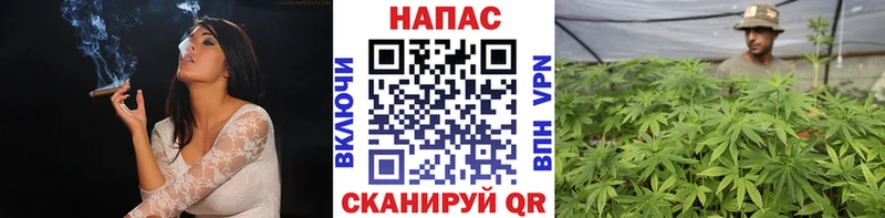 Канабис OG Kush Ивангород